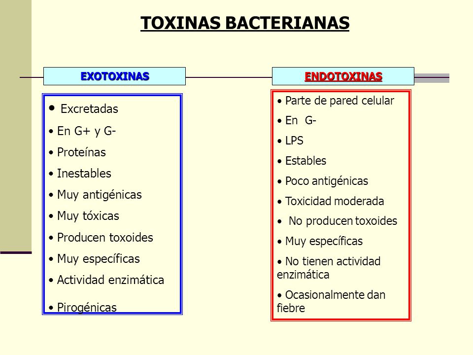 endotoxinas y exotoxinas